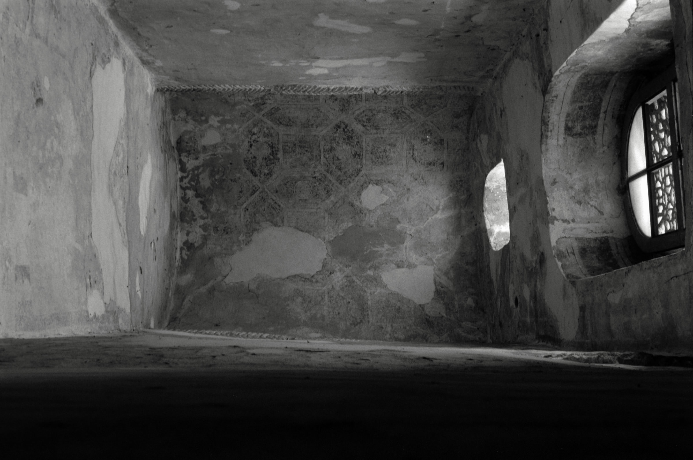 AHP F1995 05 011 sc240827 img17 NLP